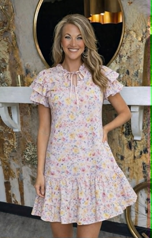 Blush Floral Ruffle Sleeve Babydoll Dress